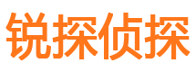 兴宁市调查公司